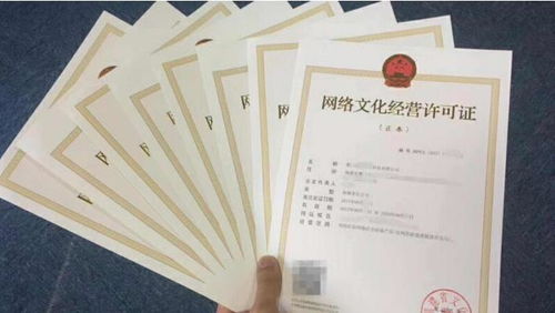 言成商务助力｜成都网络文化经营许可加急10天下证，抢占内容市场先机
