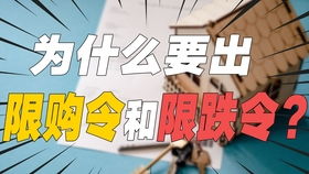 从创业到大厂 95后产品经理深度拆解互联网销售、市场与运营的真相